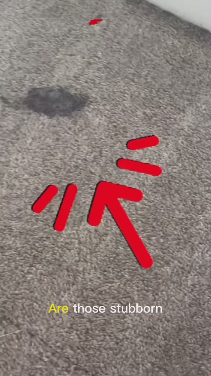 🛋️ UPHOLSTERY CLEANING Starting from