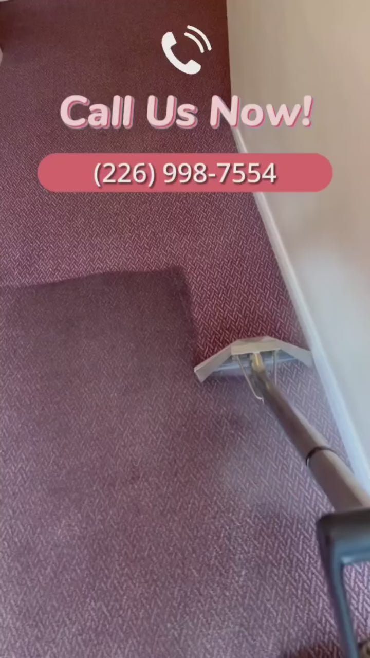🧼 CARPET CLEANING Starting from
